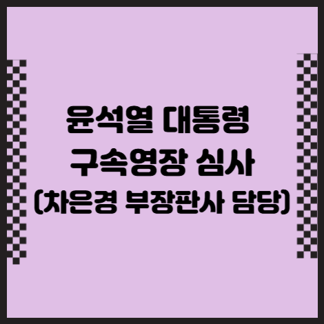 윤석열대통령구속영장심사