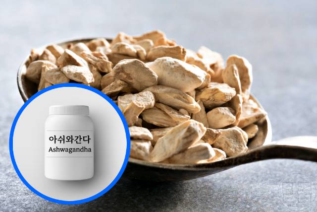 뇌에 좋은 영양제 아쉬와간다