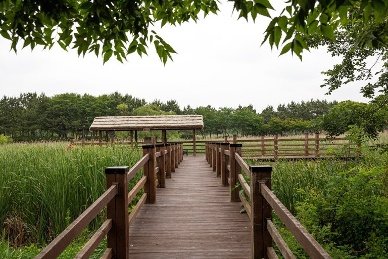 안산 가볼만한곳 베스트10