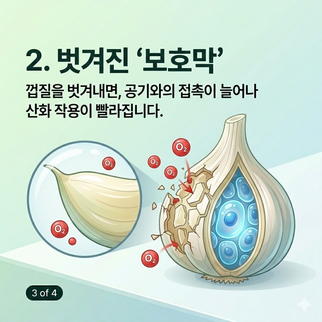 깐마늘 오래보관하는 방법