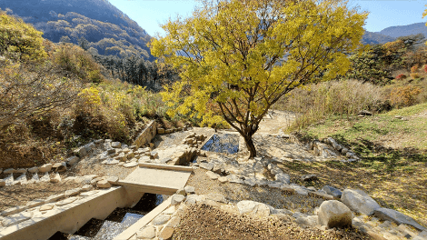반려동물과 함께하는 가을 정원 여행지 추천 : 한국수목원정원관리원 선정 BEST 5