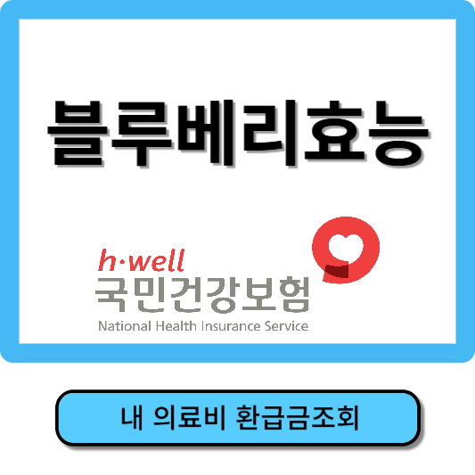 블루베리효능