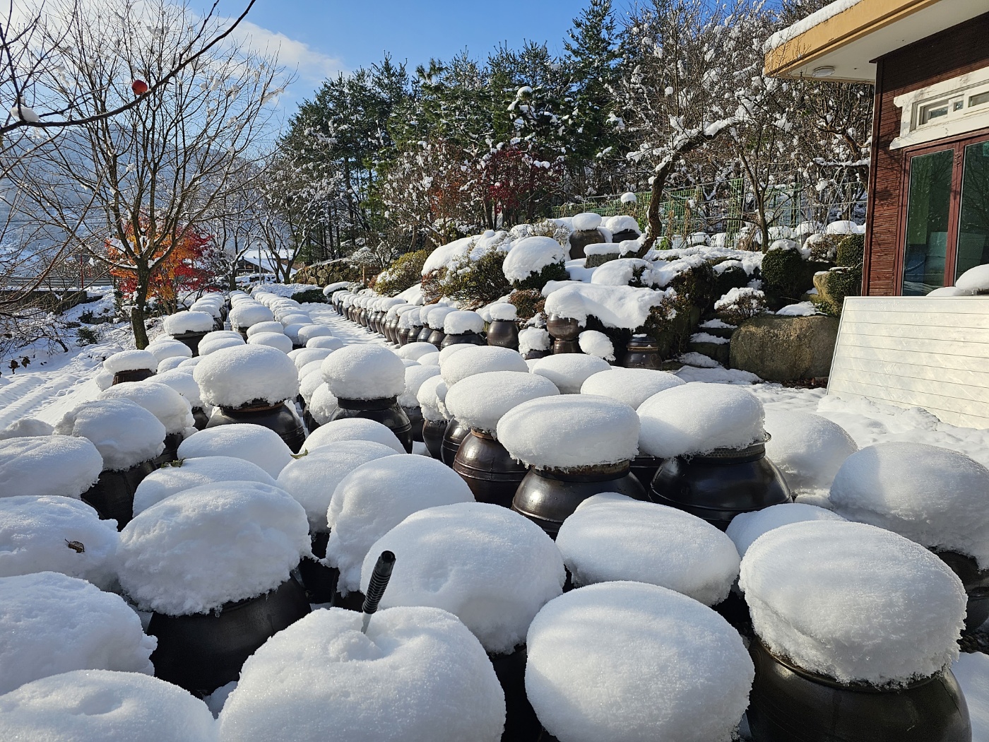 재래된장 청국장 구입추천, 전통된장 맛있는곳