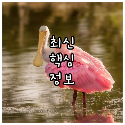 커피 애호가를 위한 현대카드 활용법:..