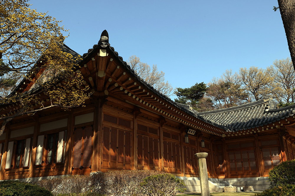 청와대 개방예약 관람신청