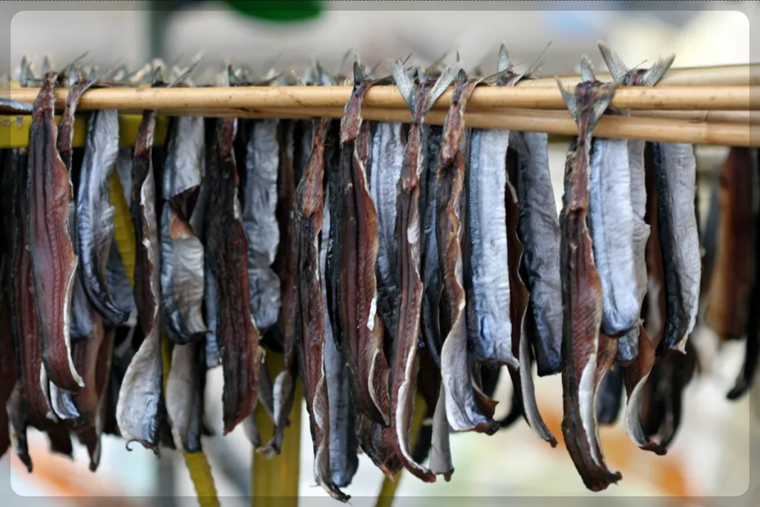 12월 제철 해산물