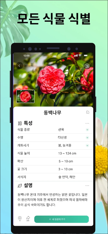 식물이름찾기, 꽃이름 찾기, PictureThis, 꽃 & 식물 찾기