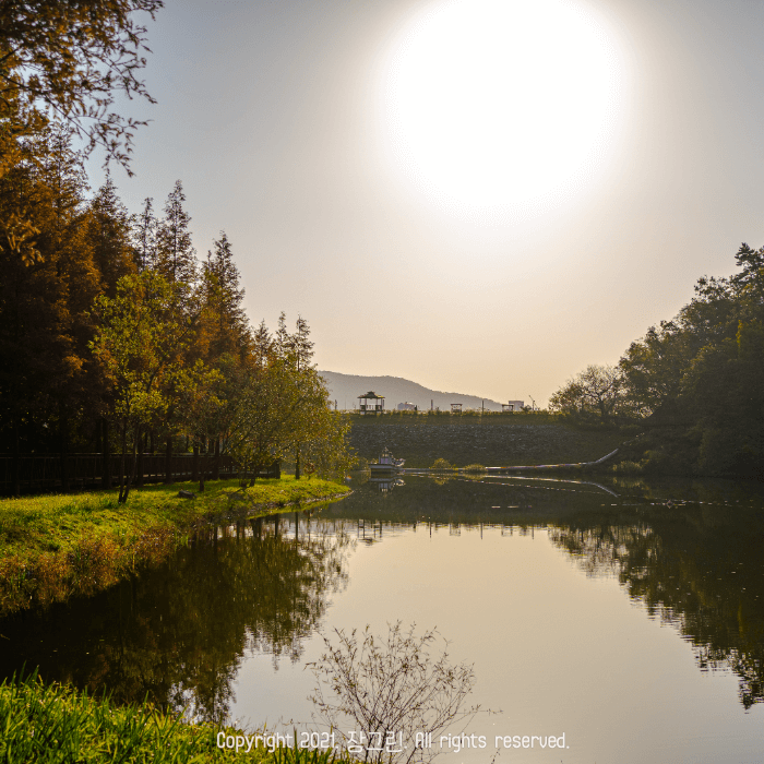 햇살아래 공원모습