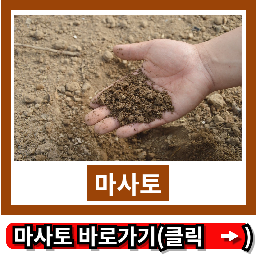 마사토