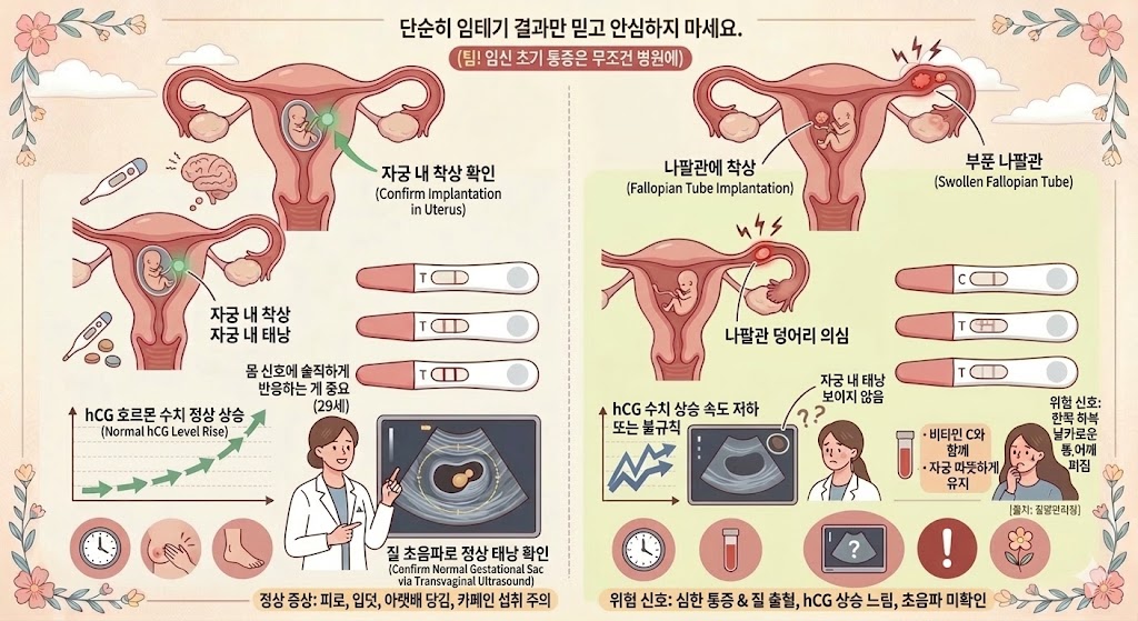 임신 중기 불편함