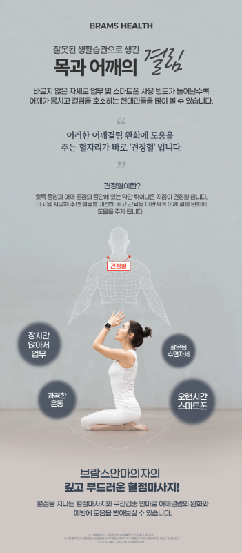 브람스 안마의자