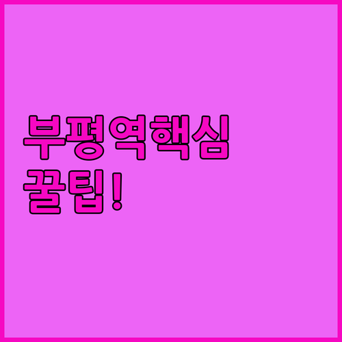 인천삼산월드체육관 경기 볼 때 부평역..
