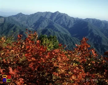 치악산 부곡탐방코스로 가장 쉽게 오르는 등산길 소개_7
