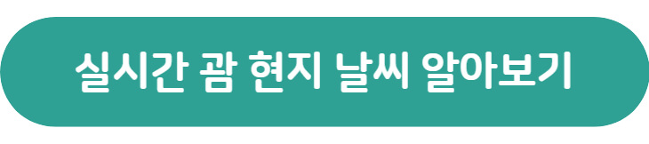 괌 기상청 홈페이지로 이동할 수 있는 버튼입니다
