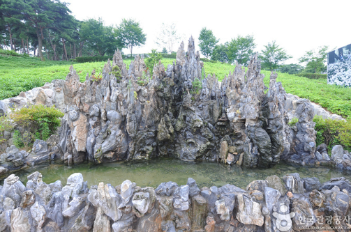 정읍 구절초지방정원