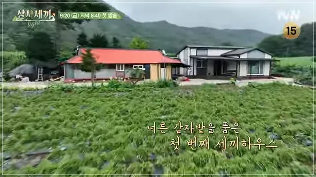 삼시세끼 임영웅 시청률 ott 재방송 다시보기 촬영지 평창 금당계곡 4