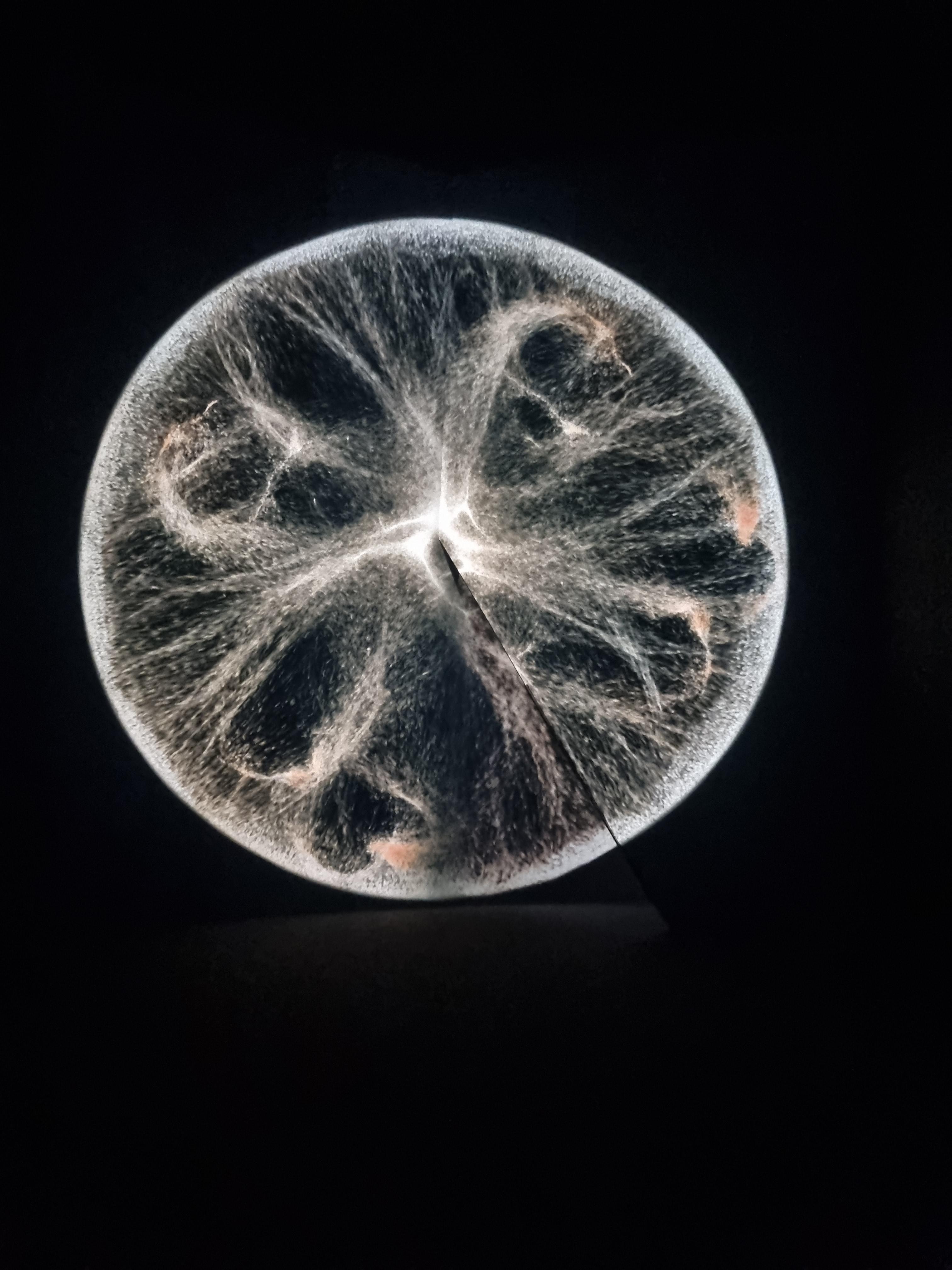 아르떼뮤지엄 부산