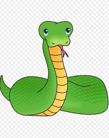 2026년 병오년 뱀띠 운세 총정리|무료 신년운세 보는 방법