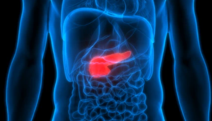 간암 말기 증상