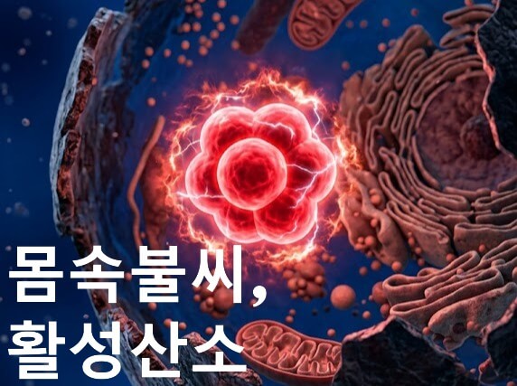 활성산소