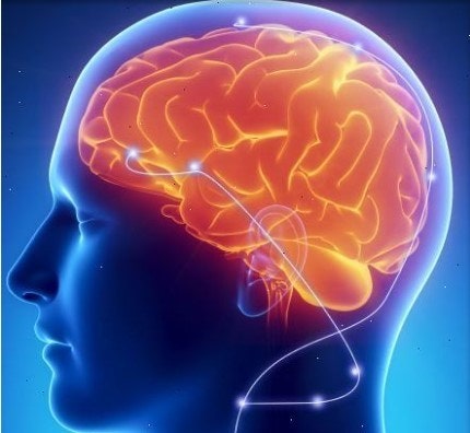 뇌의 유일한 에너지 포도당