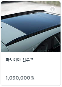 파노라마선루프-단점