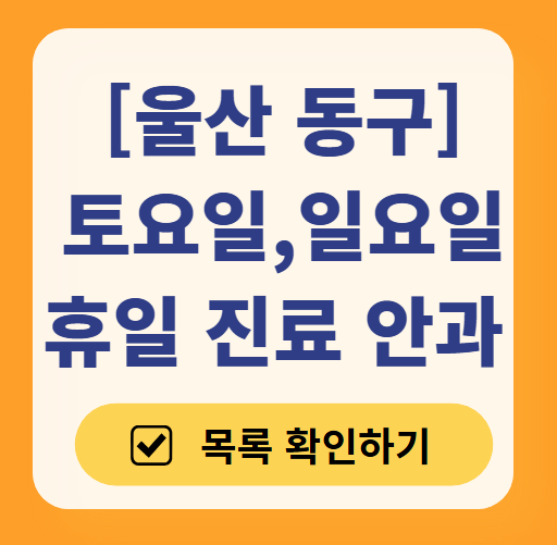 울산 동구 일요일, 주말 문 여는 안과 목록 ❘ 토요일, 공휴일 진료 영업 병원 찾기
