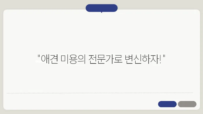 의왕 애견미용사 자격증 한국애견연맹 애견미용사3급
