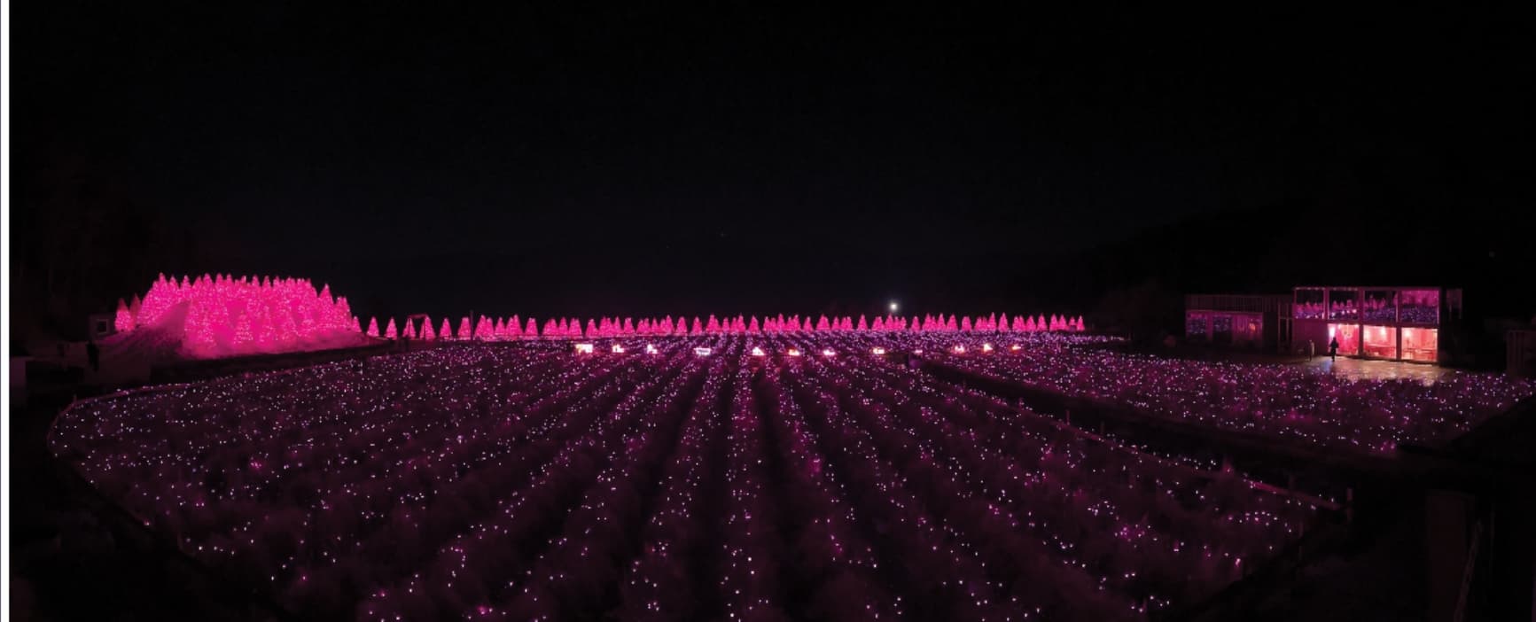 [반려견 동반, 서울 근교 여행지] 포천 허브아일랜드, 반려견과 함께 떠나는 사계절 힐링 여행