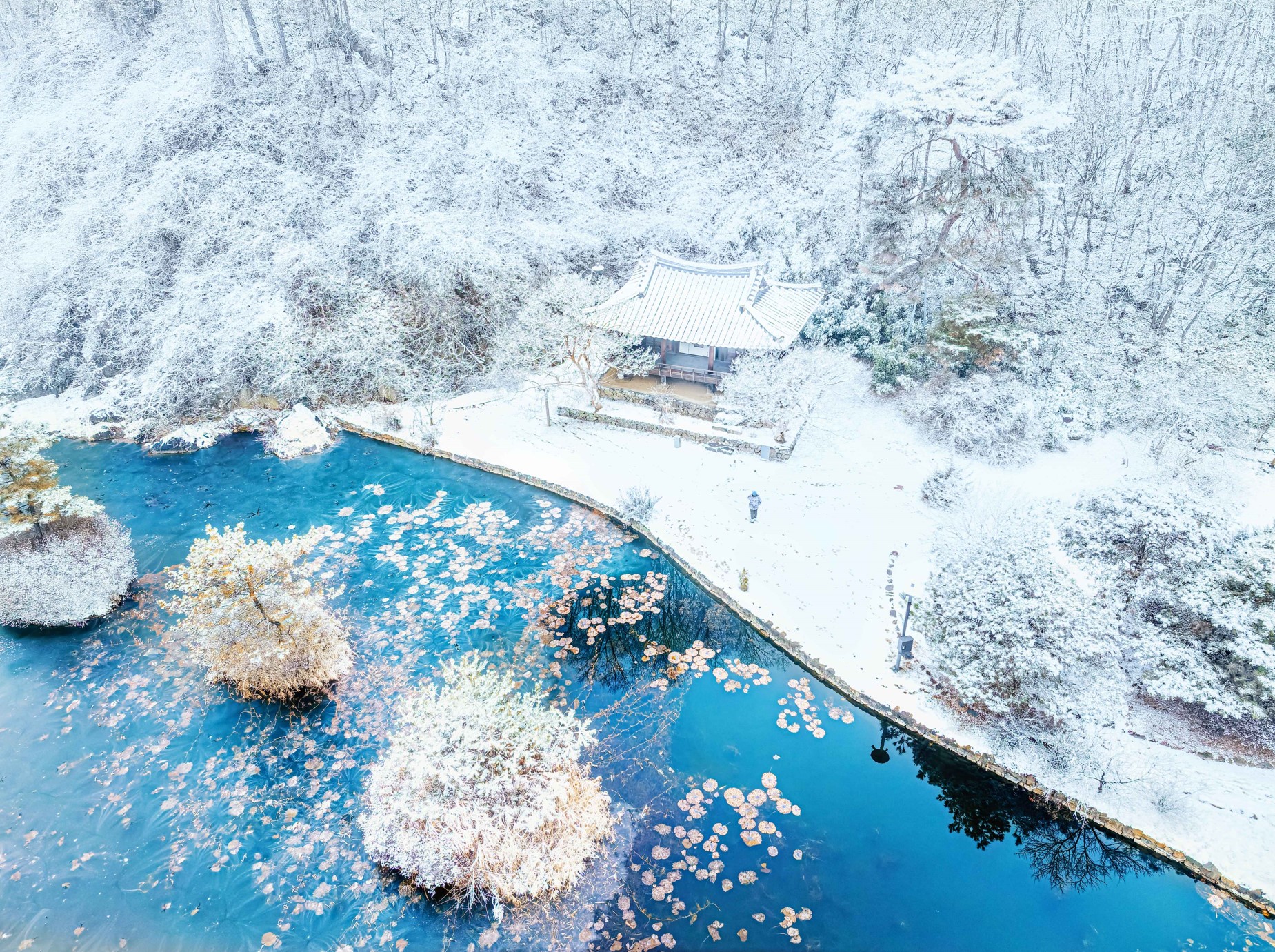 안동-체화정의-겨울왕국