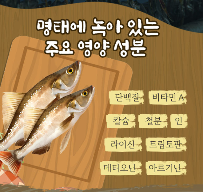 명태의 효능