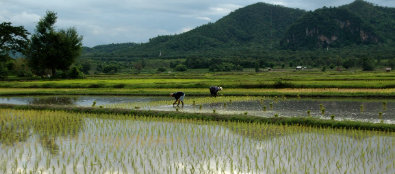 소만(小滿)의 뜻 자세한 설명