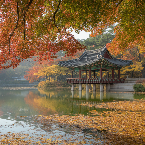 2025년 단풍 절정 시기 - 강원·경상권 단풍 명소(도심 산책형) 가상 이미지