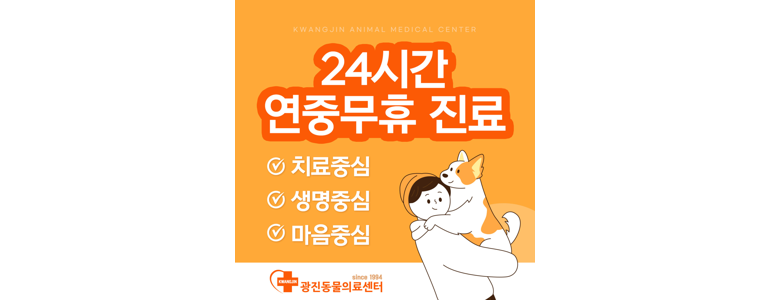 서울 광진구 동물병원