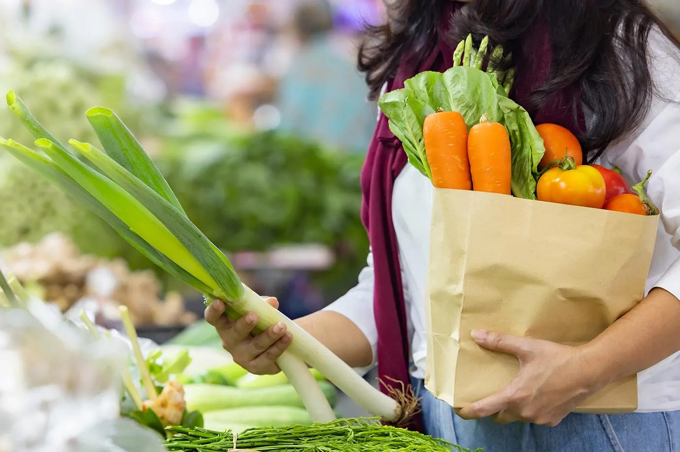 사철나물 재배 상자 텃밭 초보 가능 물 관리_1