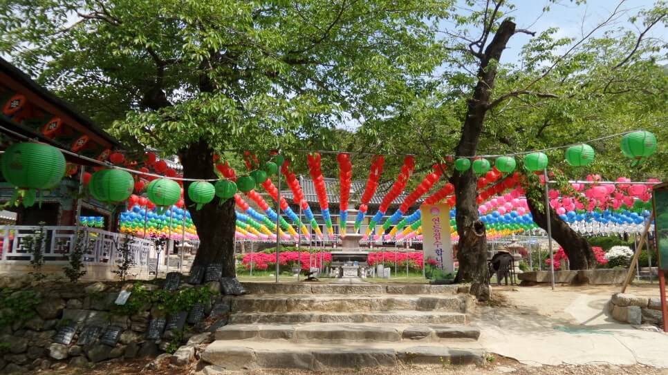 100대 명산 등산하기 서른일곱번째 공주 계룡산 신비와 전설의 봉우리 20여 개 봉우리 계곡 고찰이 어우러진 명산