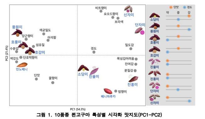 찐고구마 어디까지 알고 있나요? 10품종 맛 완전분석 (출처: 농촌진흥청)