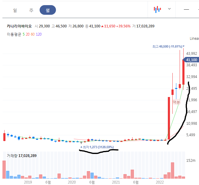 카나리아바이오 월봉 차트