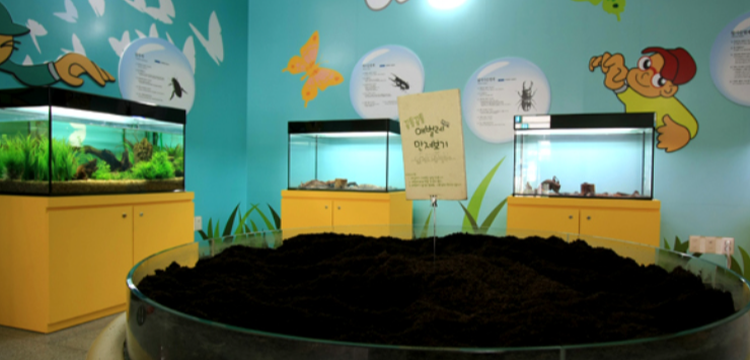 양평 곤충박물관