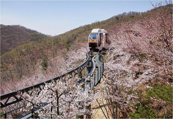 화담숲 광경 사진