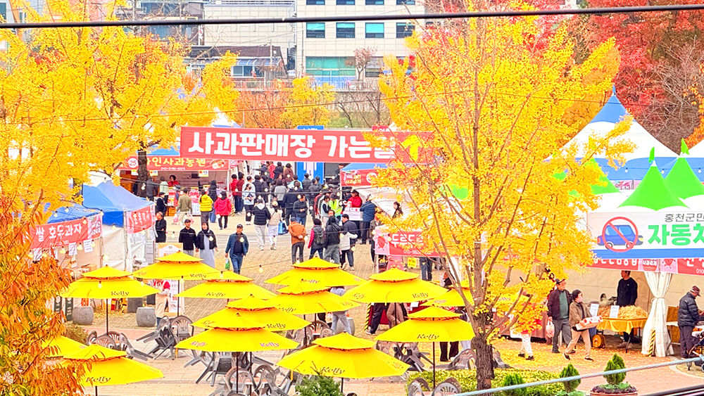 홍천사과축제