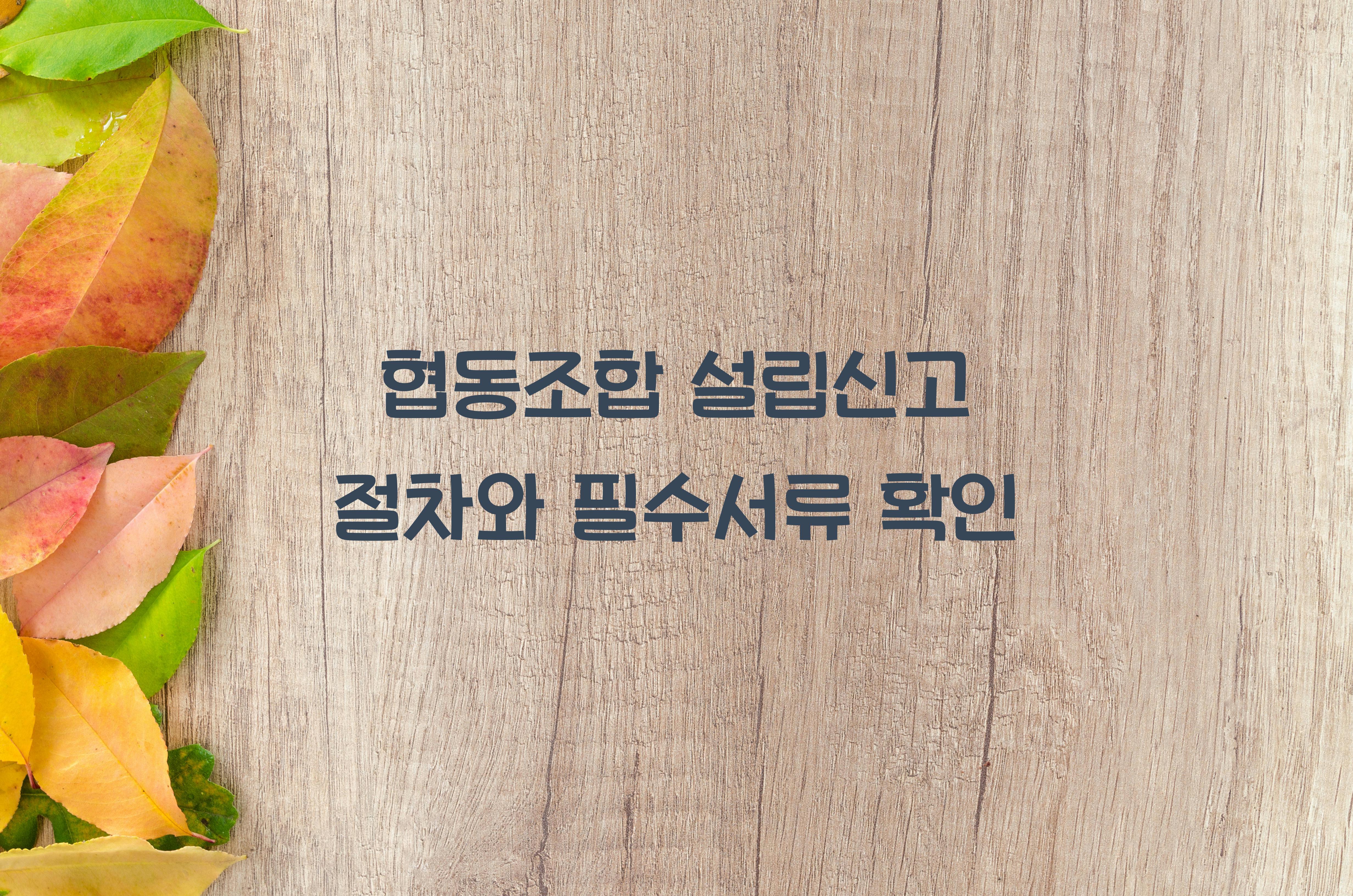 협동조합 설립신고