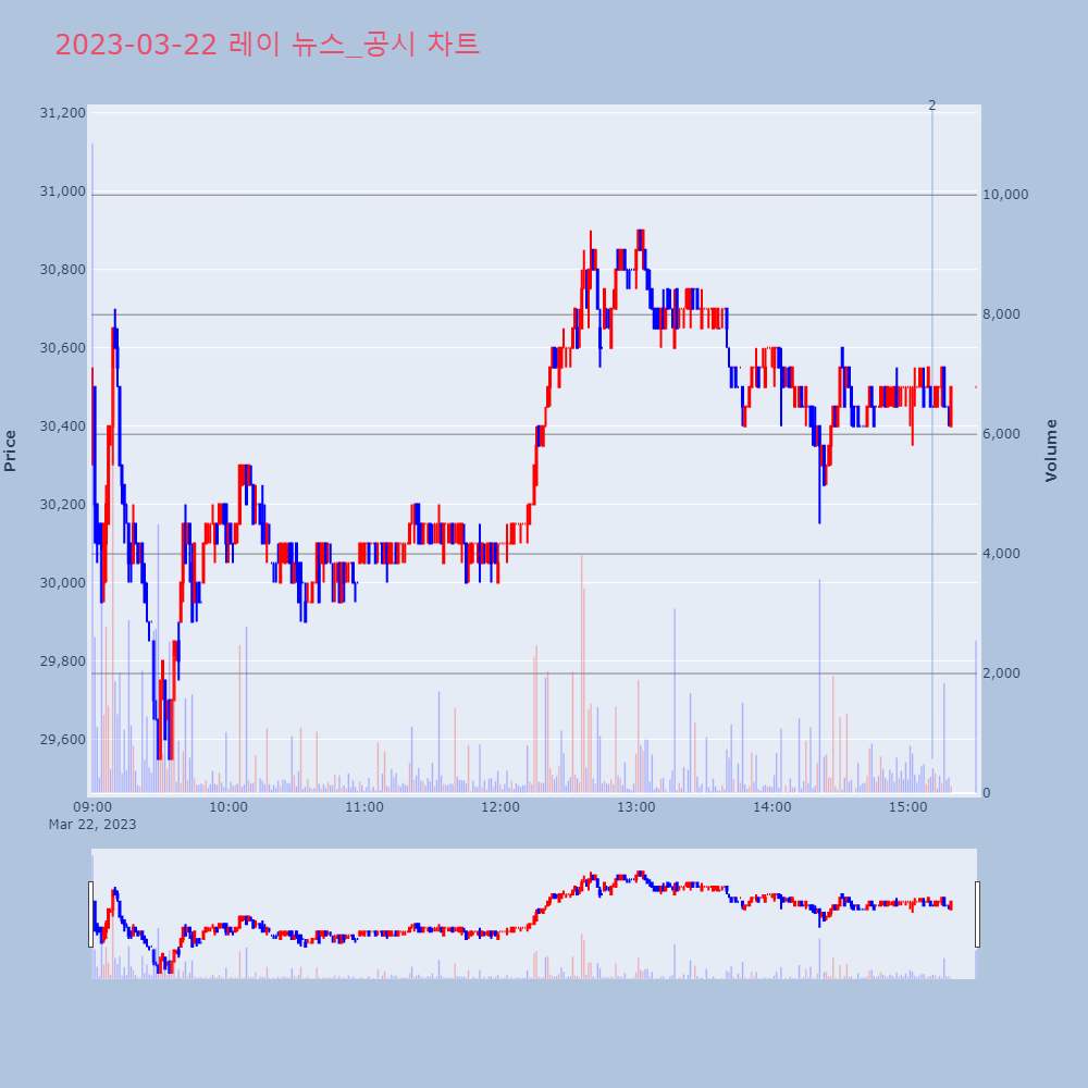 레이_뉴스공시차트