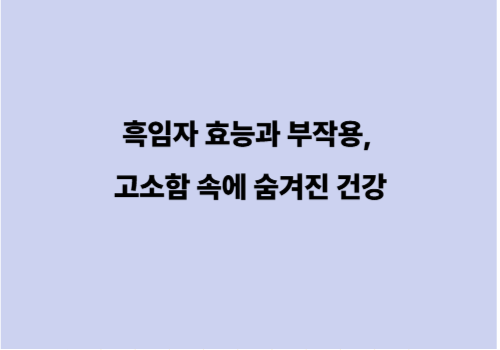 흑임자 효능과 부작용, 고소함 속에 숨겨진 건강
