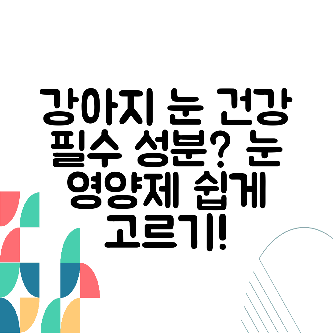 강아지 눈 건강 필수 성분 눈 영양제 쉽게 고르기!