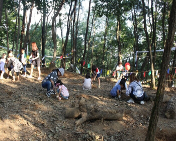 함양산삼축제_18
