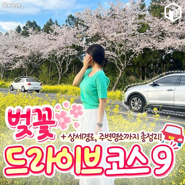 벚꽂 보러 갈래? 드라이브 코스 9(Do you want to go see cherry blossoms? South Korea's Beautiful Drive Course 9)