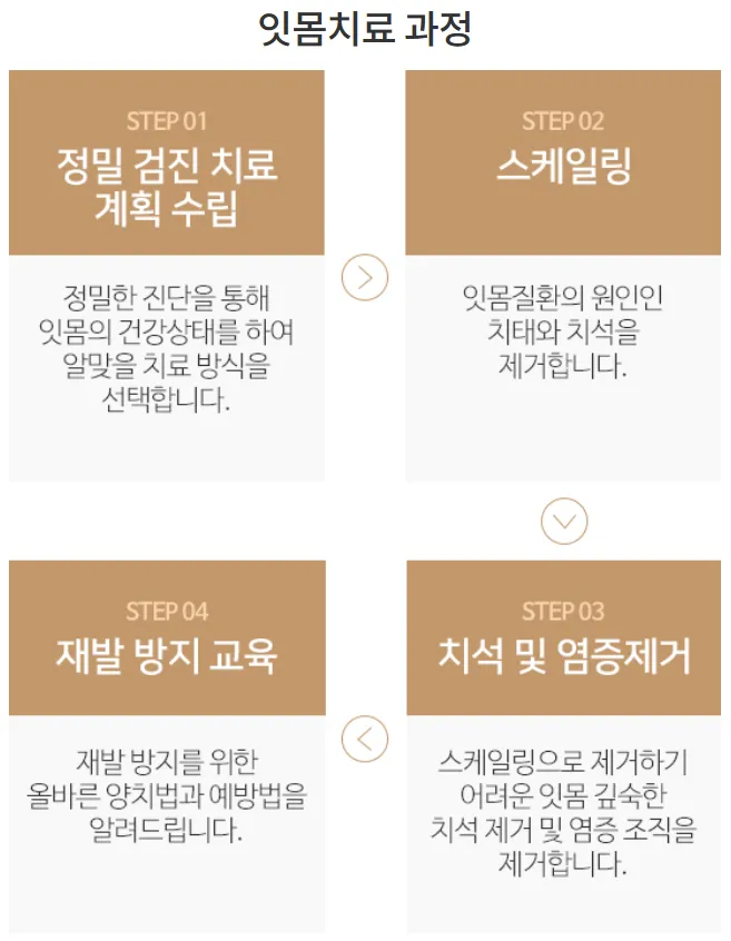 잇몸치료과정=도표