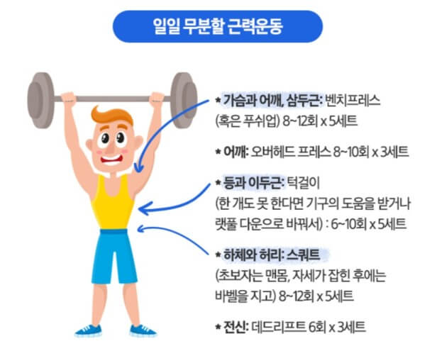 무분할 운동