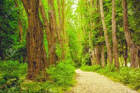 임업경영체 등록의 혜택